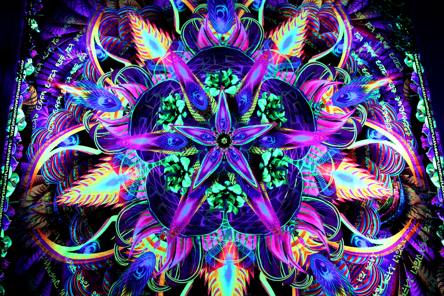 Sylvan Perception archive image 9