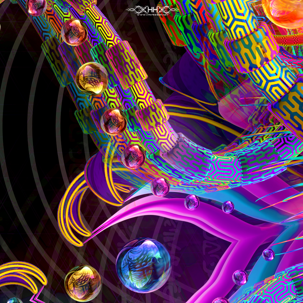 Asteroidea Venusia detail 4