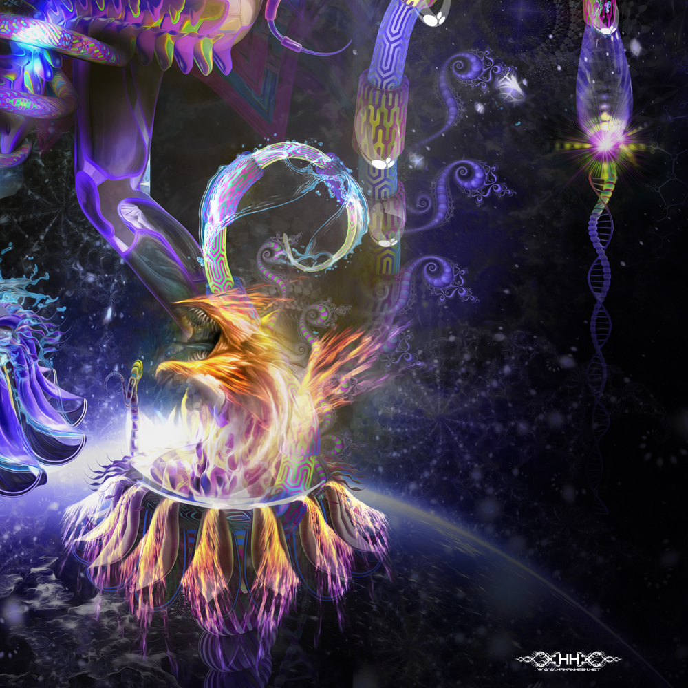 Balancing Duality detail 3