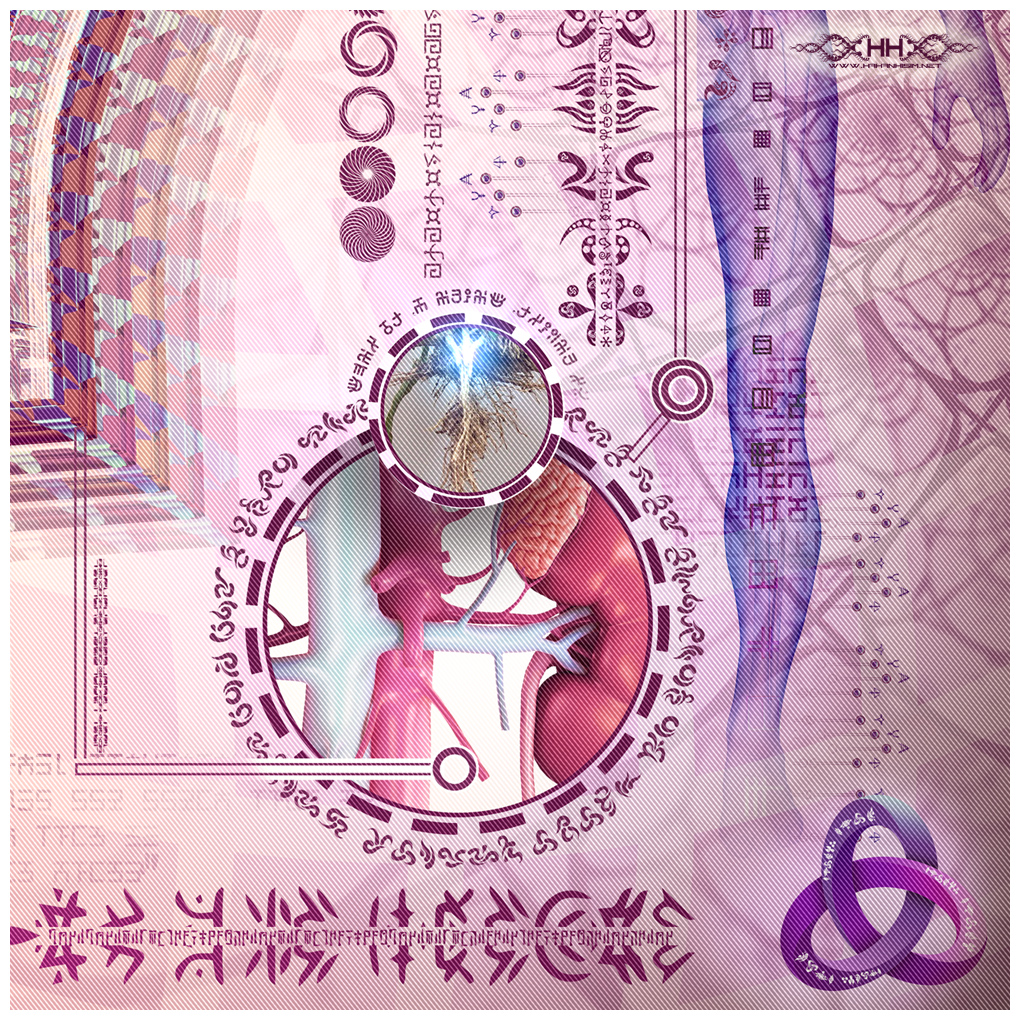 Bio-Energetic Vortexes No.1 - Root (Root Chakra) detail 9