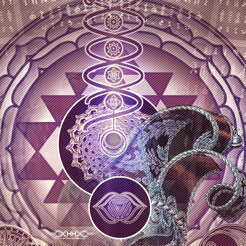 Toroidal Tantra detail 2