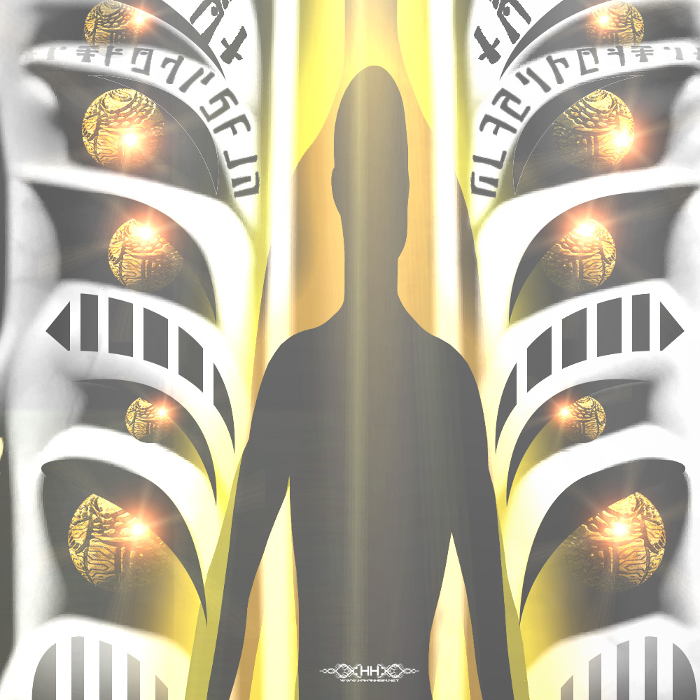 Utterly Flibberblitzed detail 5