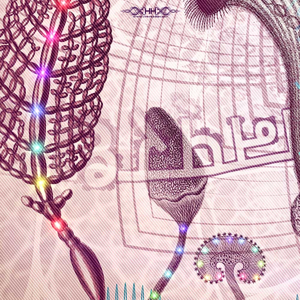 Linguistic Mystic detail 5