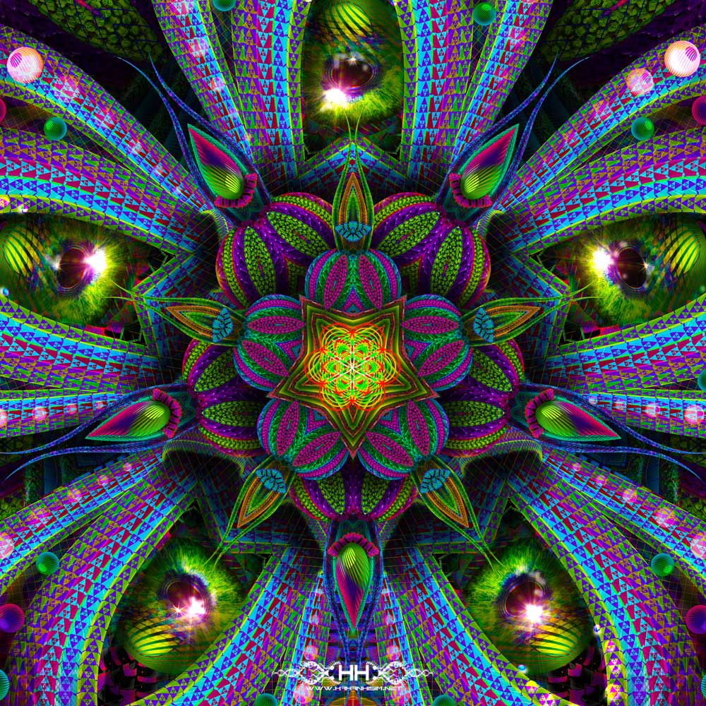 Moksha In Bloom detail 4