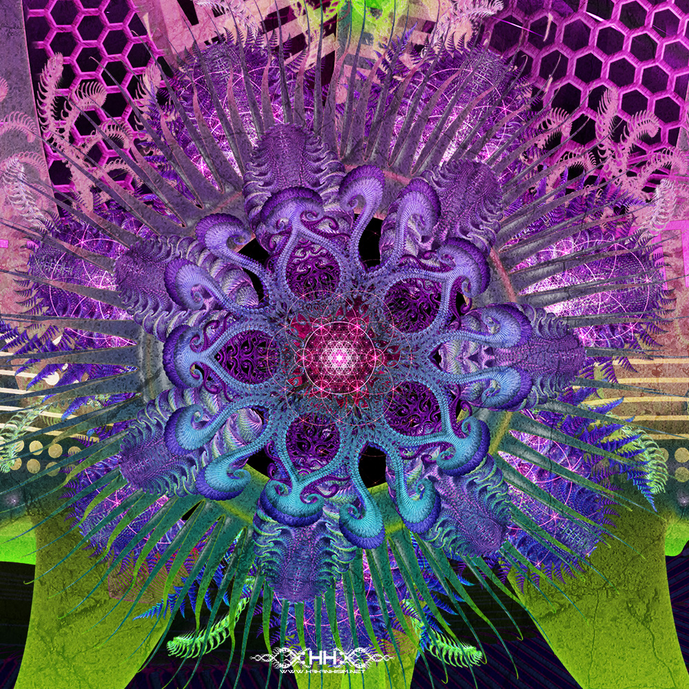 Translinguistic Revelation detail 5