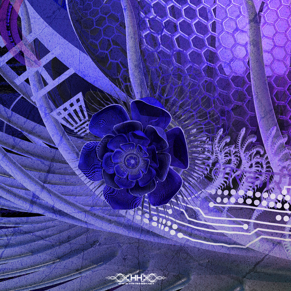 Translinguistic Revelation detail 6